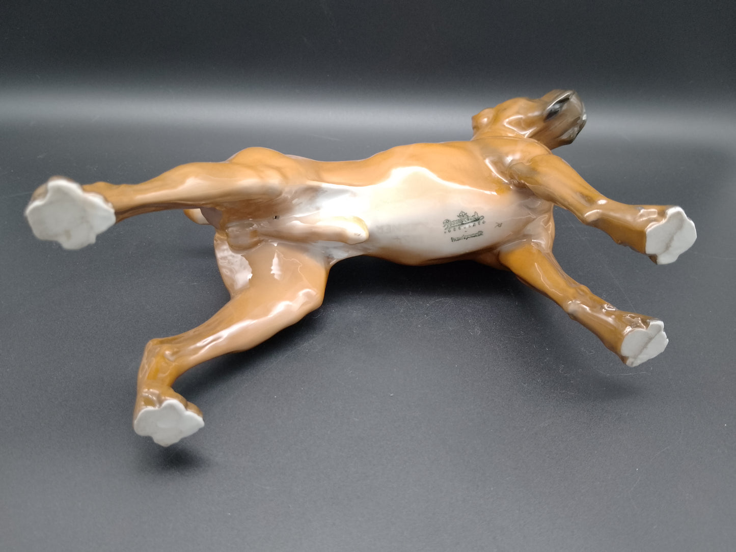 Rosenthal Porzellan Hund Boxer