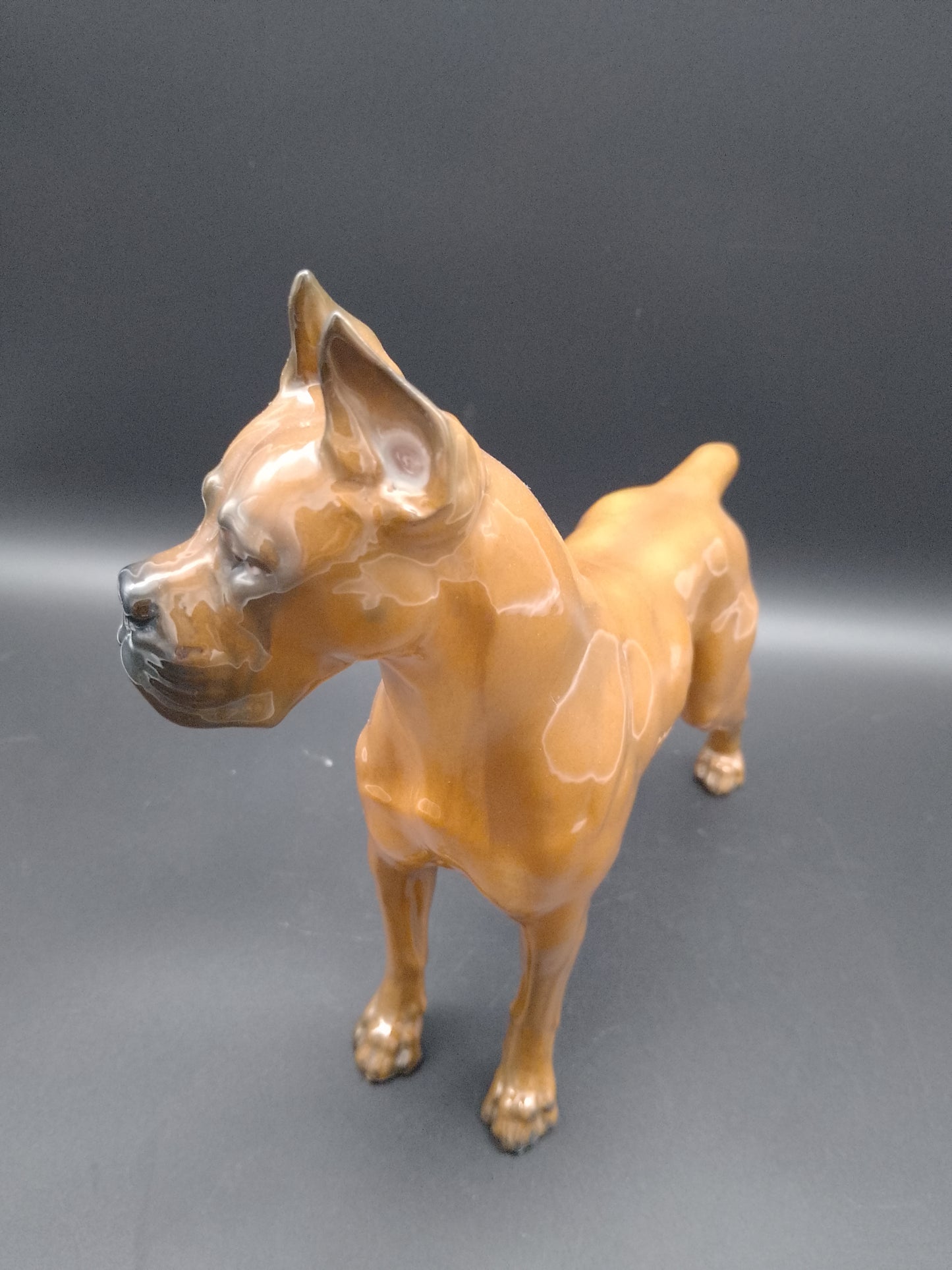 Rosenthal Porzellan Hund Boxer