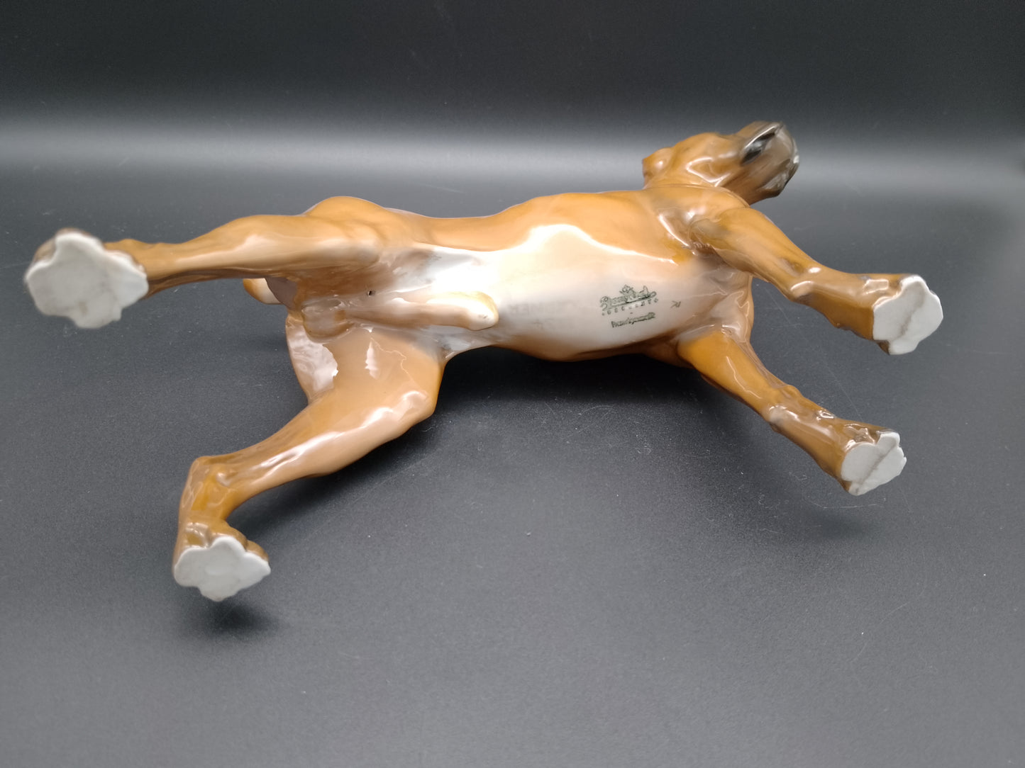 Rosenthal Porzellan Hund Boxer