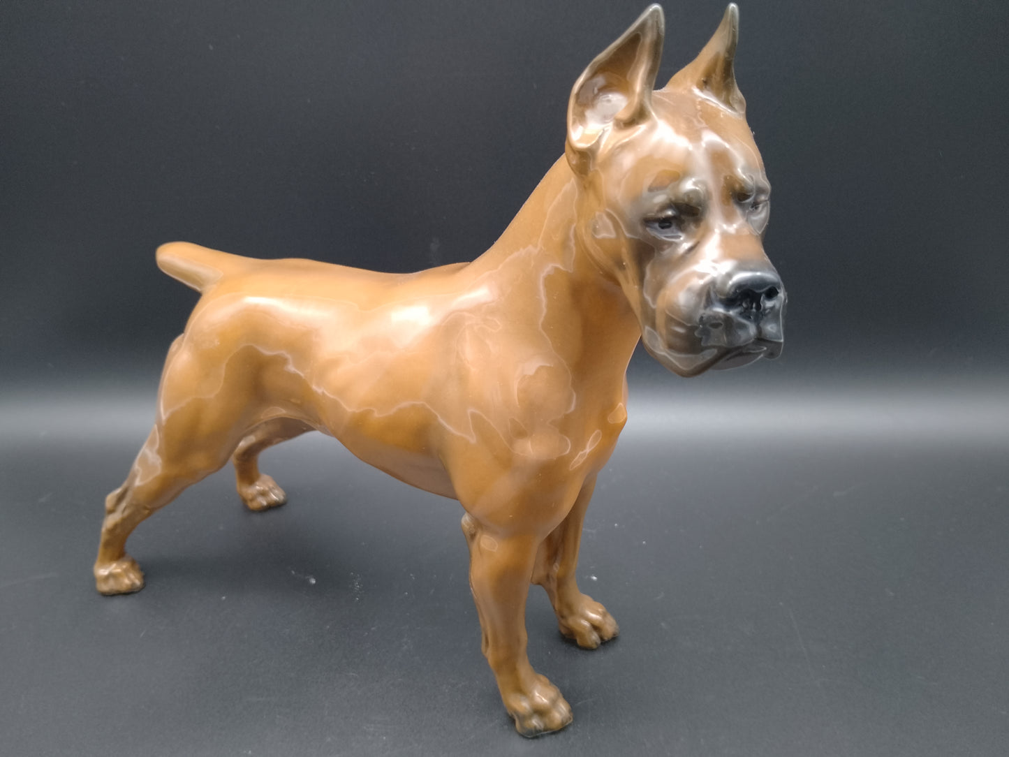 Rosenthal Porzellan Hund Boxer